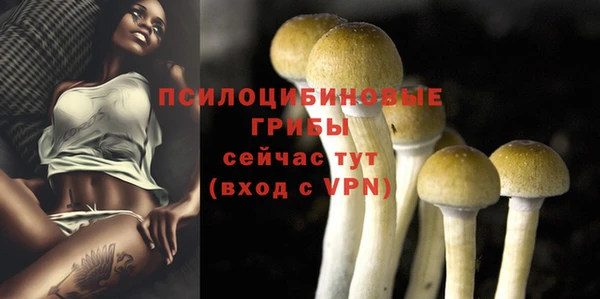 дмт Арсеньев