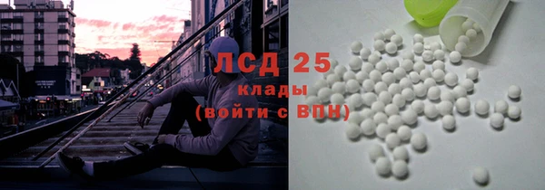 ПСИЛОЦИБИНОВЫЕ ГРИБЫ Аркадак