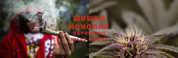 ПСИЛОЦИБИНОВЫЕ ГРИБЫ Аркадак