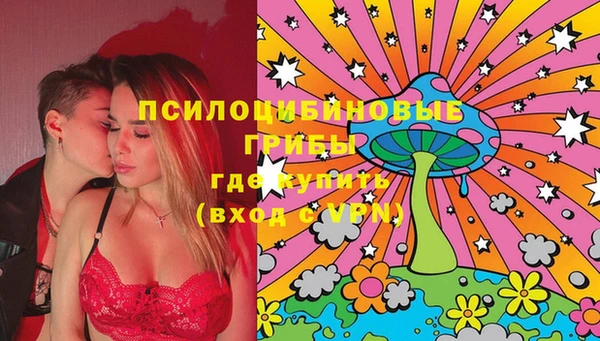 дмт Арсеньев